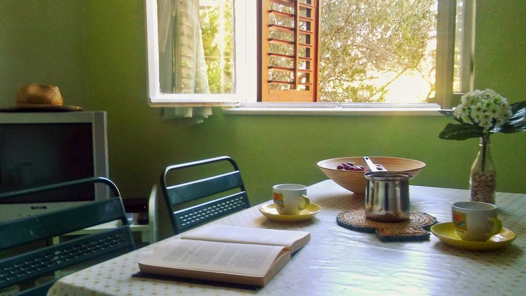 וליקי דרבניק Apartmani Conar מראה חיצוני תמונה